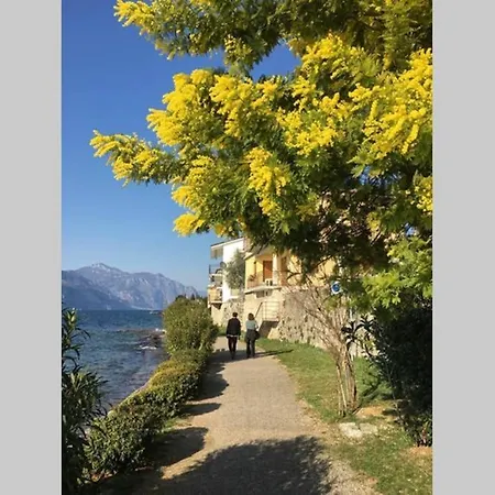 Francesca-grande In Riva Al Lago Brenzone sul Garda